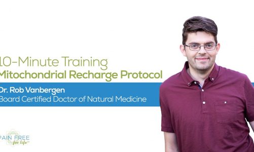 What Is Mitochondrial Recharge Protocol and What It Means For Your Health