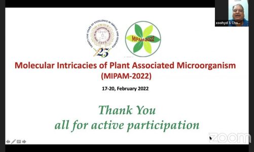 MIPAM 2022 17-20 February,2022