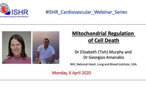 Prof Tish Murphy and Dr Georgios Amanakis – "Mitochondrial Regulation of Cell Death"