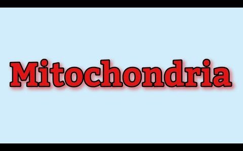 Mitochondria | Power House of the cell | ATP | What is Mitochondria? | Mitochondrian | Cytology