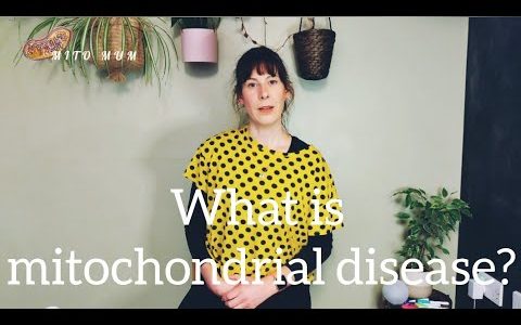 mitochondrial disease inheritance and diagnosis