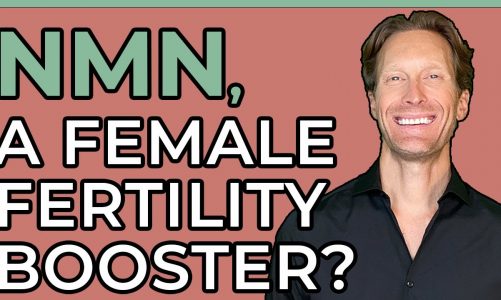 CAN NMN BOOST FEMALE FERTILITY?