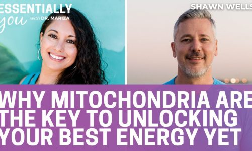 Why Mitochondria Are the Key to Unlocking Your Best Energy Yet with Shawn Wells