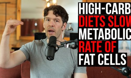 Fat Cell Metabolic Rate Slowed by High-Carb Diets (new study)
