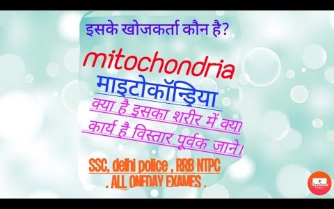 what is Mitochondria ,  biology study माइटोकांड्रिया क्या है।
