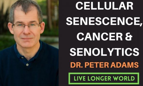 Dr. Peter Adams | Cancer, Cellular Senescence & Senolytics