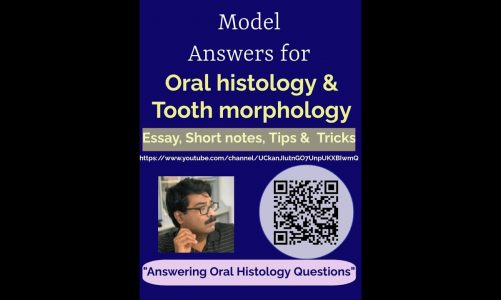 How to answer best for the question on histophysiological stages of tooth development