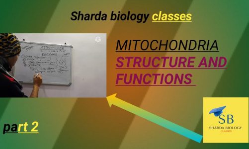 mitochondria structure and fuction in Hindi.#cell #biology