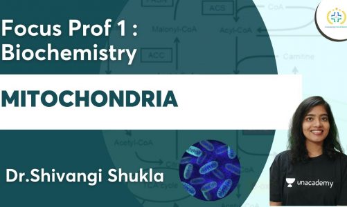 Mitochondria | Focus Prof 1: Biochemistry | Unacademy Future Doctors | Dr.Shivangi