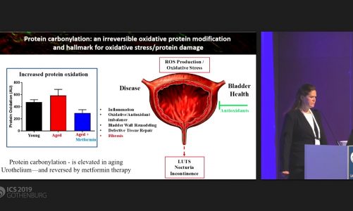 #504 METFORMIN  A NEW APPROACH TO REDUCE MITOCHONDRIAL DYSFUNCTION AND OXIDATIVE STRESS IN THE AGING