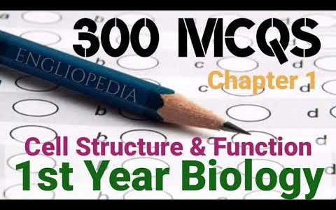 MCQs of Chapter 1, Cell structure and function, 1st Year, Biology