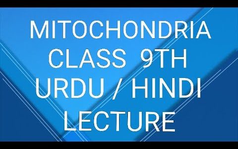 MITOCHONDRIA (LECTURE ON CELLULAR STRUCTURE AND FUNCTIONS) class 9 Urdu/Hindi lecture
