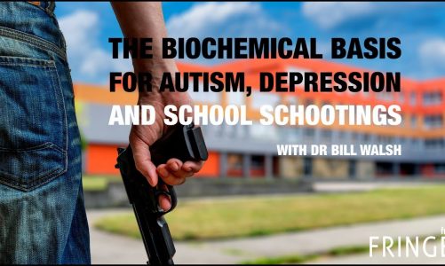 Dr Bill Walsh Interview – Biochemical Basis of Depression, Autism and School Shootings