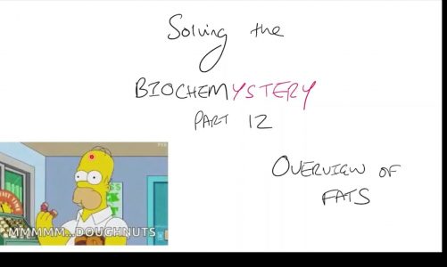 FATS OVERVIEW – METABOLISM, KETONES, SYNTHESIS & MODIFICATION | SOLVING THE BIOCHEMYSTERY PART 12