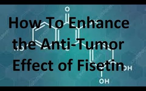 How To Enhance the Anti Tumor (Cancer) Effect of Fisetin