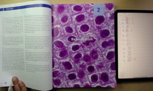 The Cell: Biology Review: MCAT Study
