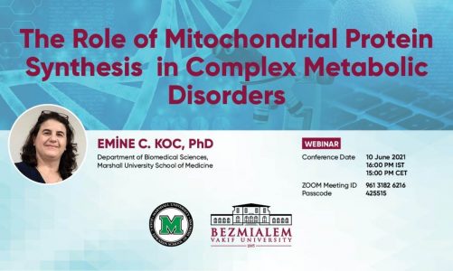 The Role of Mitochondrial Protein Synthesis  in Complex Metabolic Disorders
