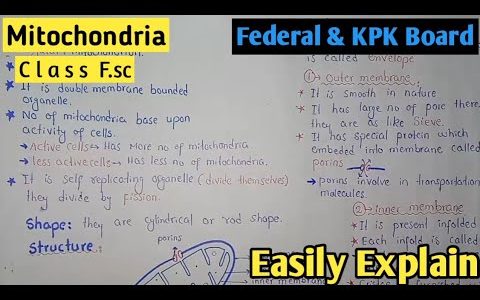 Mitochondria Structure And Functions In Urdu Hindi | Class 11th | Federal Board | KPK Board