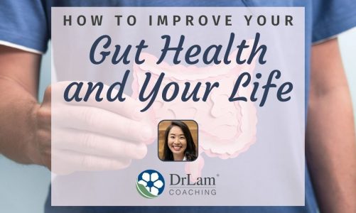 How To Improve Your Gut Health And Your Life