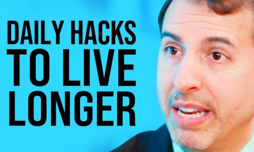 The DAILY HACKS To Improve Sleep, PREVENT DISEASE & Live Longer! | Roger Seheult