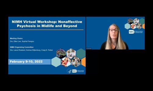 NIMH Virtual Workshop: Nonaffective Psychosis in Midlife and Beyond Day One