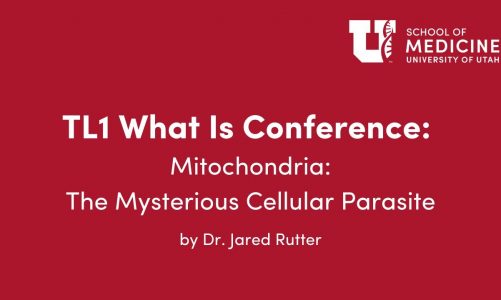 What Is…Mitochondria: The Mysterious Cellular Parasite by Dr. Jared Rutter