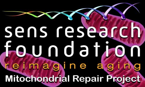 SENS Research Foundation — MitoSENS Mitochondrial Repair Project | Lifespan.io Crowdfunding Campaign