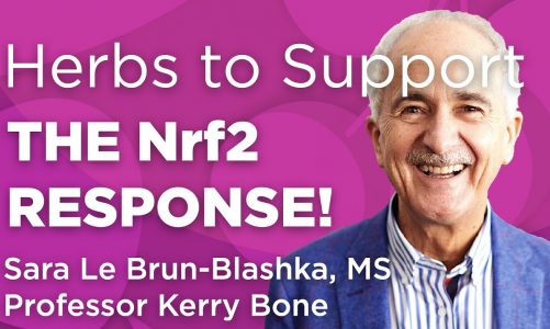 Best Herbs for Supporting the Nrf2 Response