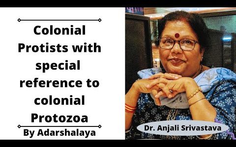 Colonial Protists with special  reference to colonial Protozoa