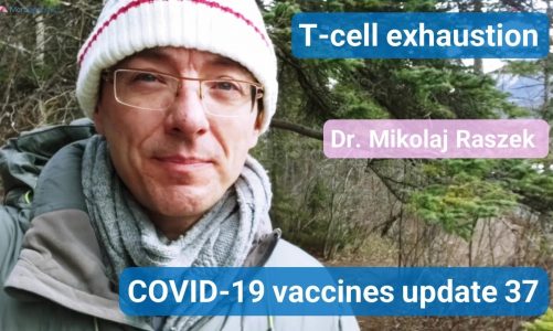 T cell exhaustion – COVID-19 vaccines update 37