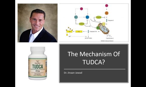 How Does TUDCA Work?