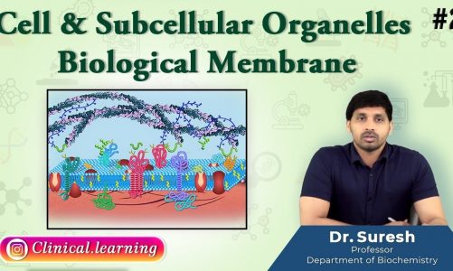 2. Cell & Subcellular Organelles – BIOLOGICAL MEMBRANE