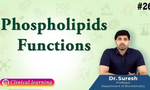 26. Phospholipids – Functions
