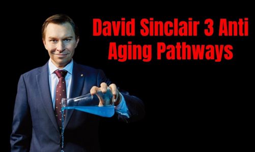 David Sinclair 3 Anti Aging Pathways