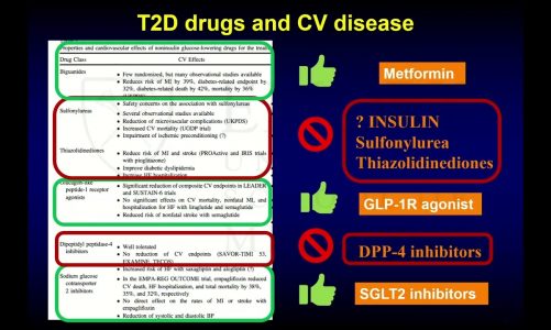 A Tale of Salt and Sugar: SGLT2 Inhibitors in Cardiovascular Disease