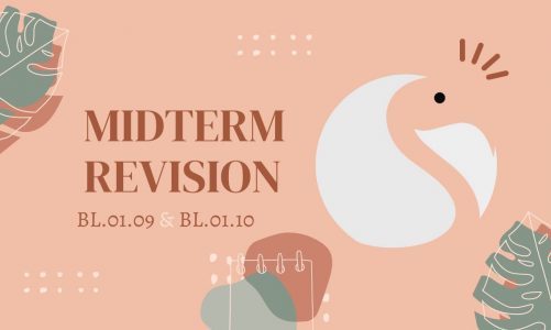 STEM Curriculum| Midterm revision G10|