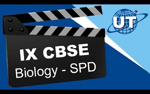 VSH23 – IX CBSE BIOLOGY SPD 29/04/2022