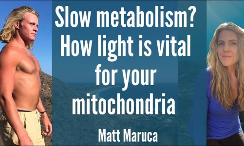 SLOW METABOLISM & DIET NOT HELPING?  Why light is vital for your Mitochondria with Matt Maruca
