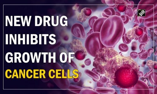 New drug inhibits growth of cancer cells