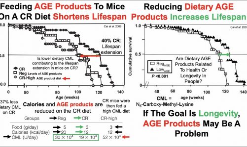 AGE Products Impact Lifespan: Impact Of Hyperglycemia, Kidney Function, And The Microbiome