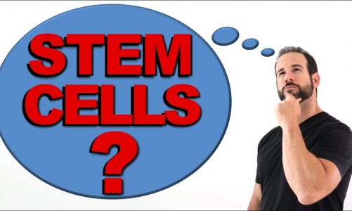 All About Regenerative Medicine & Stem Cell Therapy – IS IT RIGHT FOR YOU?     |    Dr. Yoni Whitten