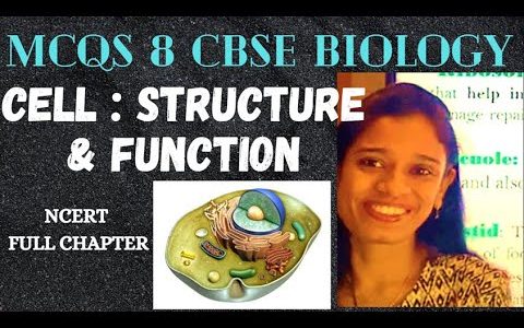 Cell:Structure & Function| MCQ on Full Chapter| NCERT|Class8 Biology #Biology #Class8 #Cell #MCQs