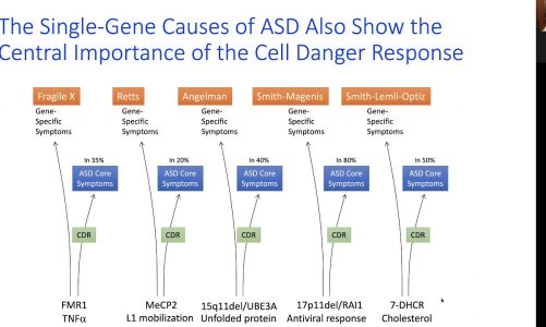 Mitochondria, Autism, the Cell Danger Response, and Suramin