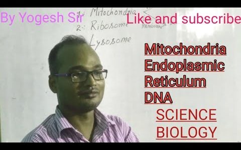 CLASS IXth — BIOLOGY — ENDOPLASMIC RETICULUM, MITOCHONDRIA AND DNA