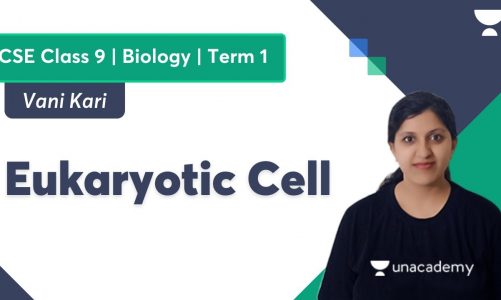 Eukaryotic Cell | ICSE Class 9 Biology | ICSE Term 1 | Vani Kari