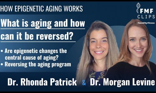 How epigenetic aging works and how it might be reversed | Dr. Morgan Levine