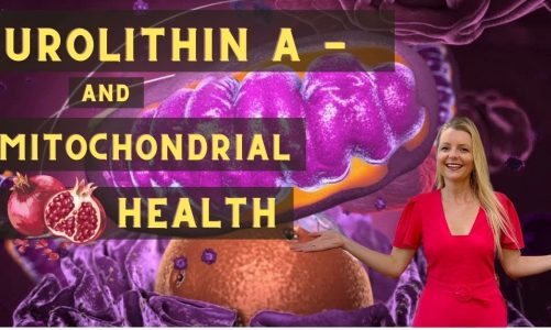 Urolithin A – a useful chemical for mitochondrial health?