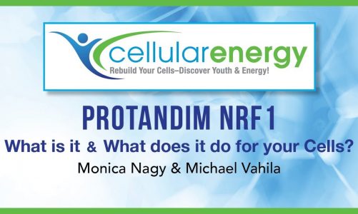 Protandim NRF1: What is it & What does it do for your Cells?