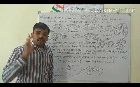 Biogenesis Of Mitochondria In Hindi