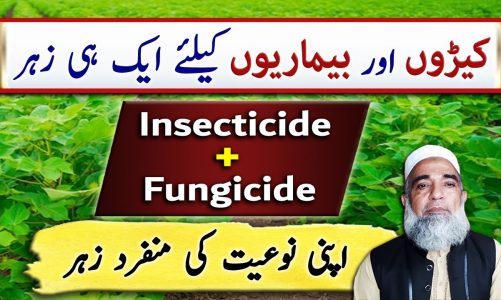 An effective Insecticide + Fungicide for different crops || Crop Reformer